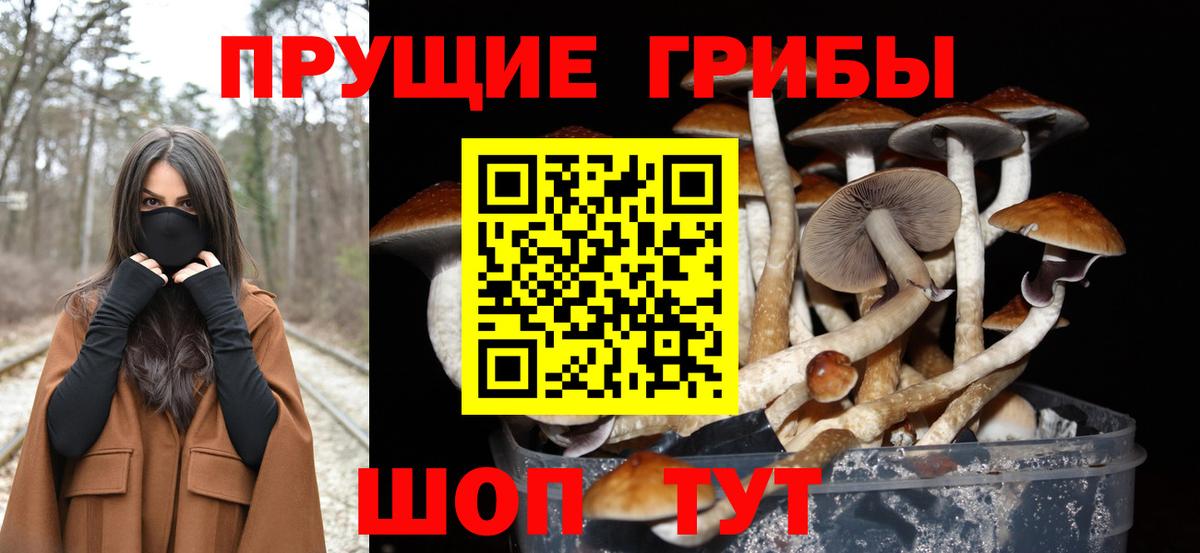 Галлюциногенные грибы Cubensis Рубцовск