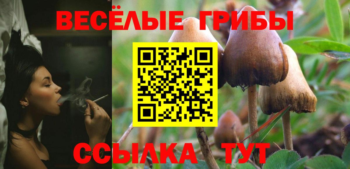 Псилоцибиновые грибы MAGIC MUSHROOMS  наркошоп  Рубцовск  Галлюциногенные грибы ЛСД  Вход с VPN 